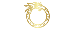 Excellence Security